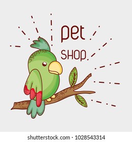 Parrot on tree branch pet shop