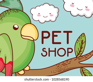 Parrot on tree branch pet shop