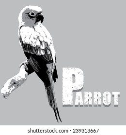 Parrot on a Tree Branch vector, rubber stamp