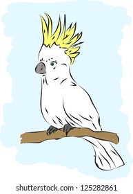 a parrot on the white