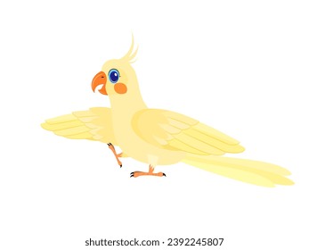 Parrot on a white background.