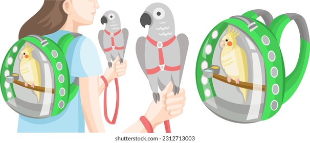 Parrot outdoor walk set: Girl with parrots in bird backpack and harness with leash; Grey parrot in red harness and leash on human hand; Сockatiel parrot in transparent green backpack - vector images