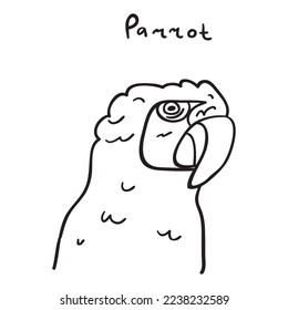 Parrot. Outline Hand drawn vector illustration.