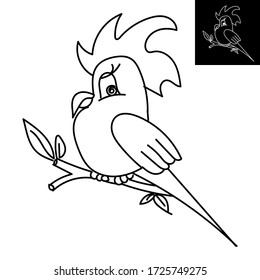 Parrot, outline icon on white isolated background for posters, stickers, clip-arts