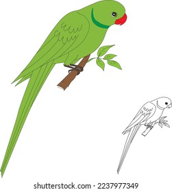 Parrot or Parakeet editable vector file