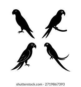 Conjunto de Vector de silueta de loro y periquito - Iconos de aves tropicales exóticas