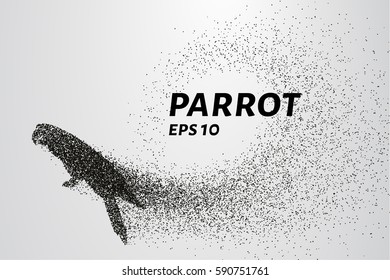 Parrot of the particles. Parrot consists of circles and points. Vector illustration.