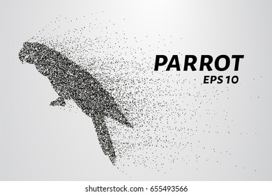Parrot of the particles. Parrot consists of circles and points. Vector illustration