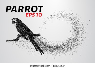 Parrot of the particles. Parrot sitting on a branch made up of little circles. Vector illustration