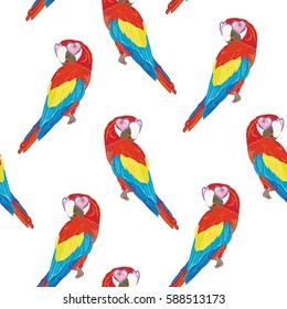 parrot pattern - vector illustration