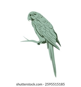 A parrot perched on a branch, rendered in a solid, muted green tone against a white background