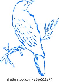 Parrot perched on a branch sketch.
