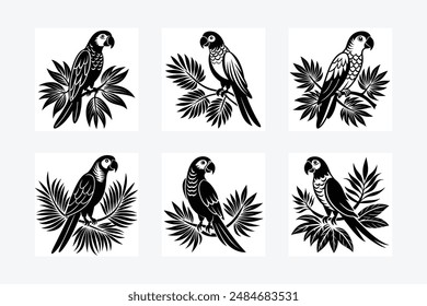 a parrot perched on a tropical branch vector illustrator