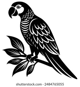 parrot perched Silhouette vector illustration