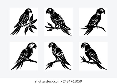 parrot perched Silhouette vector illustration