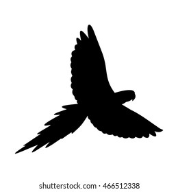 parrot picture,vector illustration