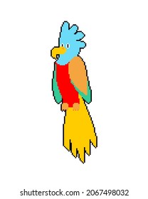 Parrot pixel art. pixelated Talking bird for pirate 8 bit. vector illustration