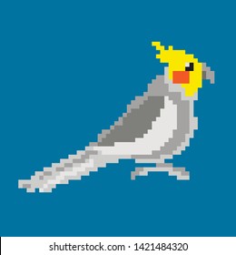 Parrot pixel illustration, white backgroun