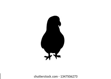 Parrot or polly bird, vector black color silhouette illustration for icon, logo, poster, banner. Abstract Domestic Bird, isolated without background. For zoo, children's zoo, petting farm, pet shop