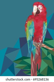 Parrot polygonal Low poly geometric vector image