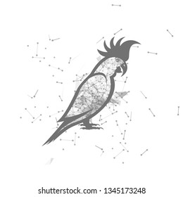parrot.  Polygonal wireframe parrot silhouette. low poly vector illustrations on background of points and lines.