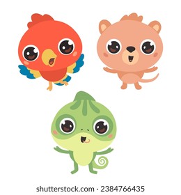 Parrot, quokka, gecko characters, vector hand drawn art