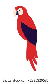 vector de ilustración rojo de loro aislado