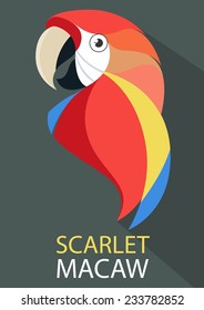 Parrot Scarlet Macaw vector flat design