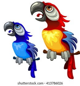 The parrot screams. Vector illustration.