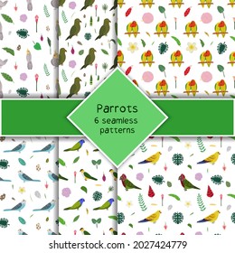 Parrot seamless pattern collection in cartoon style. Parrots cockatiel, kea, pionus and budgies, tropical leaves and flowers set of six backgrounds. Cute baby print for fabric and textile.