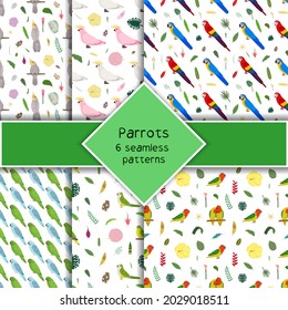 Parrot seamless pattern collection in cartoon style. Parrots macaw, pink and white cockatoo, lovebird, tropical leaves and flowers set of six backgrounds. Cute baby print for fabric and textile.