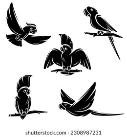 Parrot set. Collection icon parrot. Vector
