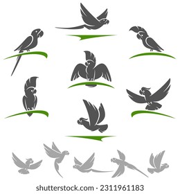Parrot set. Collection icon parrot. Vector