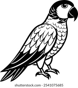 Parrot shilhotee vector with white background