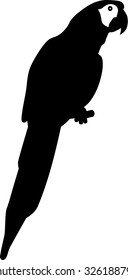 Parrot silhouette
