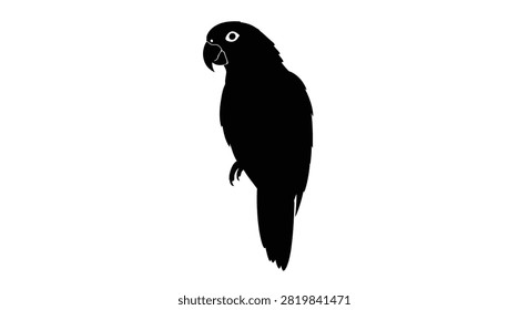Parrot Silhouette Against A White Background Silhouette