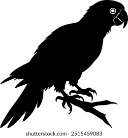 Parrot silhouette, Black and White