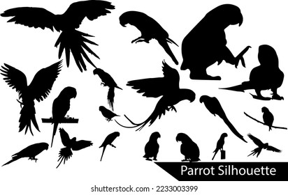 parrot silhouette Bundle Set  Collection