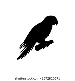 Parrot silhouette icon vector design.