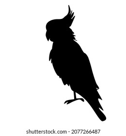 Parrot silhouette isolated on white background. Cockatoo icon. Popinjay logo. Australia, America or eastern Indonesia wildlife bird side view. Cockatoo parrot or macaw black sign. Vector illustration