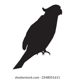 Parrot silhouette isolated on white background. Vector illustration