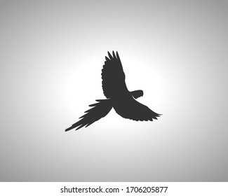 Parrot Silhouette on White Background. Isolated Vector Animal Template for Logo Company 
