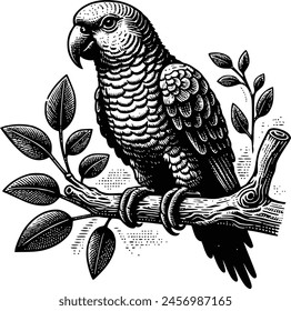 parrot silhouette royalty-free vector design