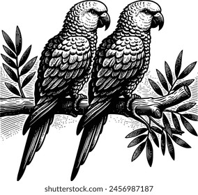 parrot silhouette royalty-free vector design