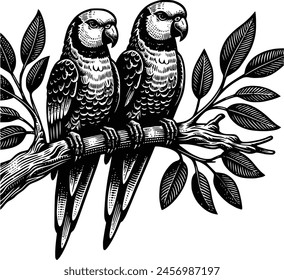 parrot silhouette royalty-free vector design