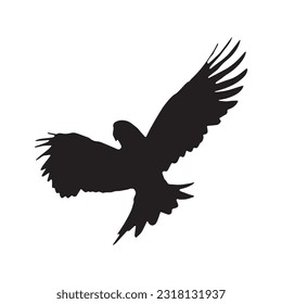 parrot silhouette set collection isolated black on white background vector illustration