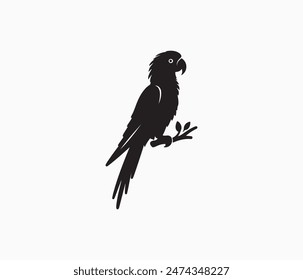 parrot silhouette vector art illustration