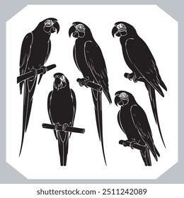 Parrot silhouette vector art illustration, bird parrot logo tropical bird logo icon