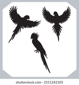 Parrot silhouette vector art illustration, bird parrot logo tropical bird logo icon
