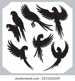 Parrot silhouette vector art illustration, bird parrot logo tropical bird logo icon